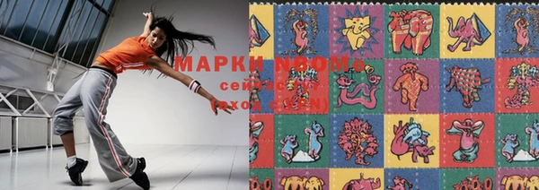 крисы Баксан
